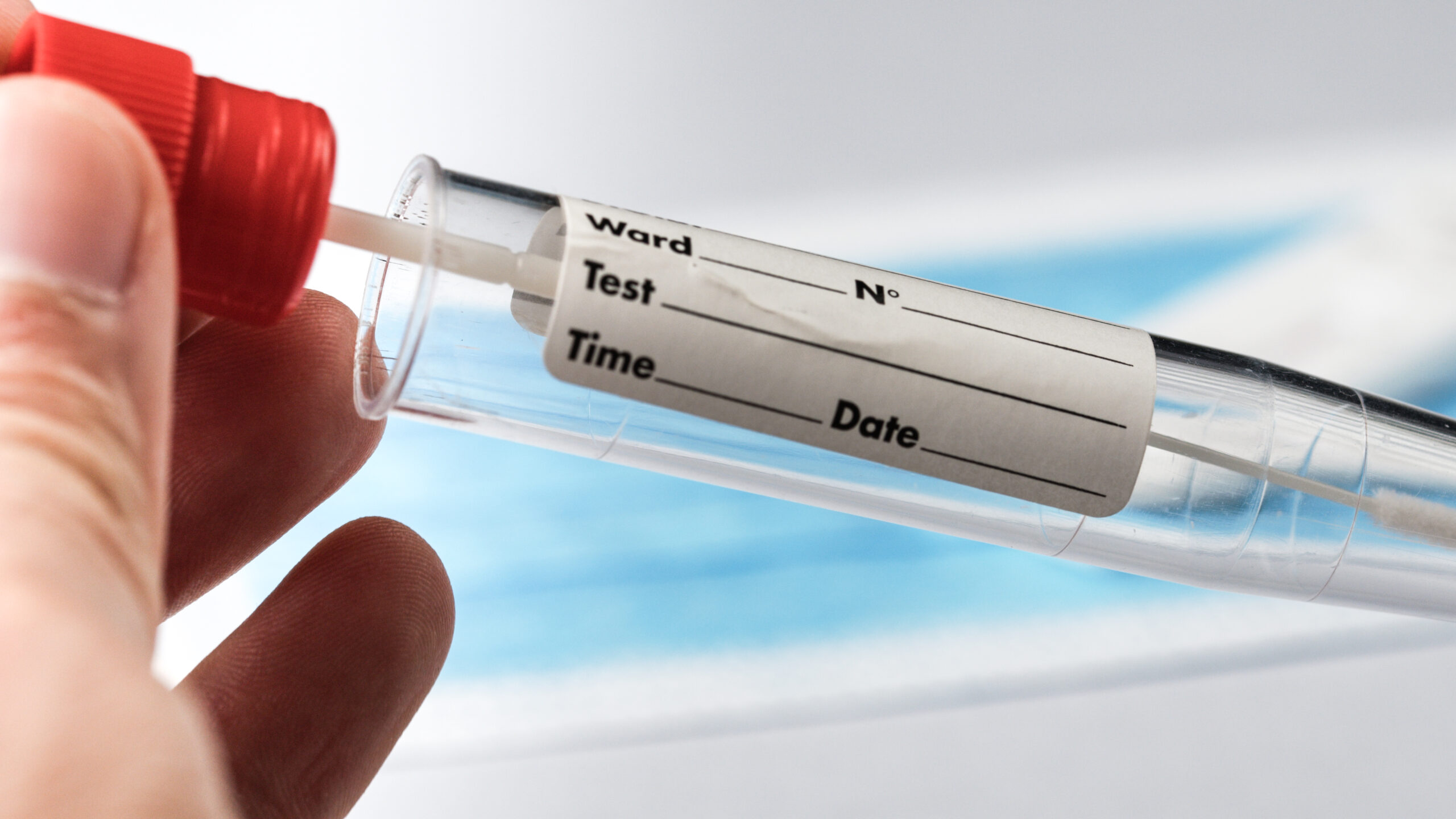 close up of doctor analyzing covid swab
